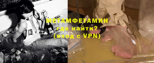 сатива Гусь-Хрустальный