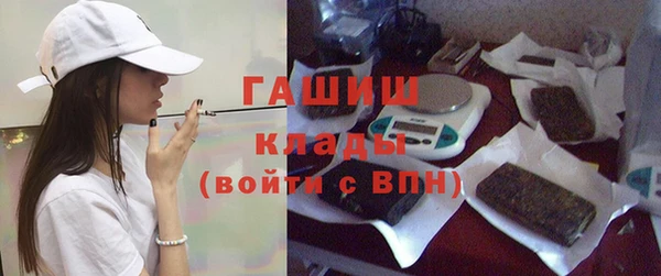 сатива Гусь-Хрустальный