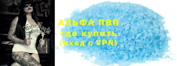 индика Гусиноозёрск