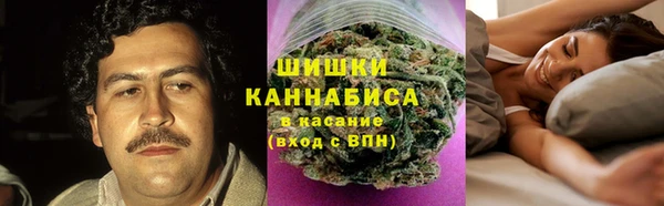 сатива Гусь-Хрустальный