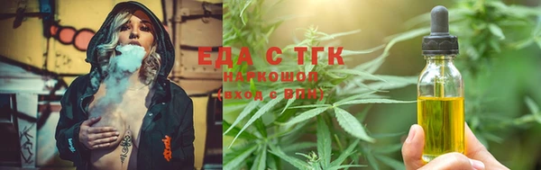 индика Гусиноозёрск