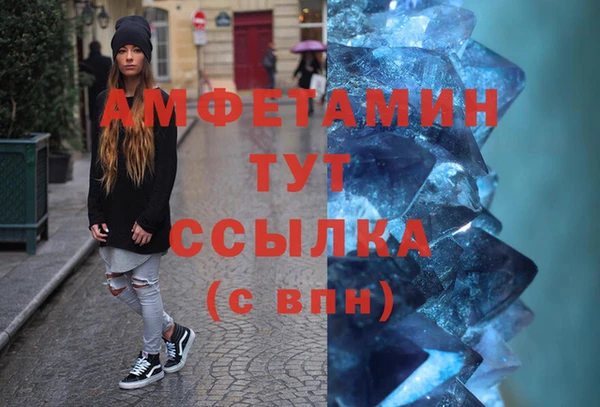 индика Гусиноозёрск