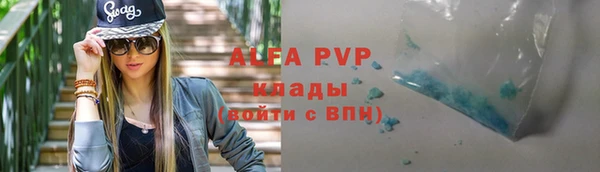 альфа пвп Гусев