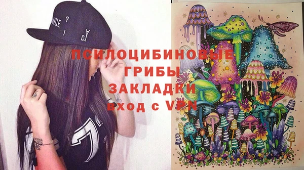 альфа пвп Гусев