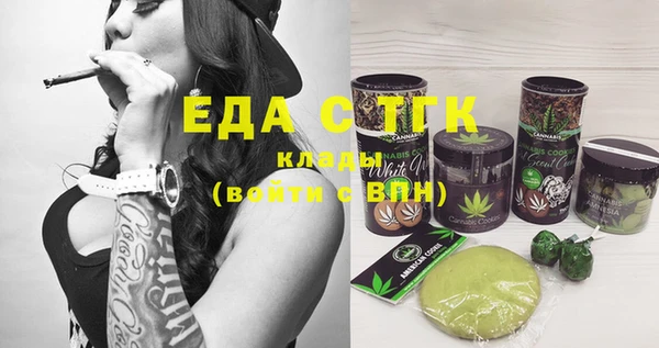 индика Гусиноозёрск