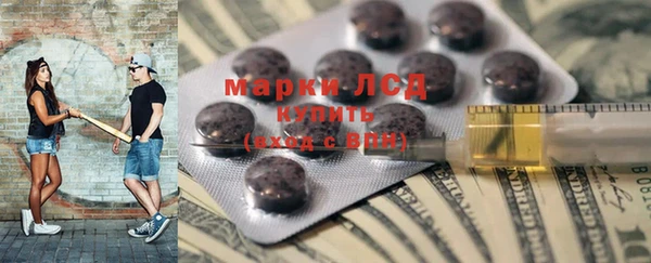 индика Гусиноозёрск